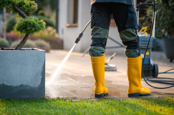 Best Pressure Washing Near Me  in Buckingham, FL